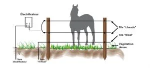 Efficacité et sécurité des clôtures chevaux