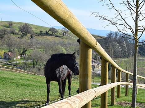 Clôtures sécurisées fixes bois et électrification pour chevaux