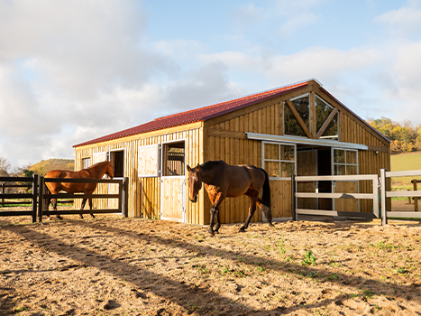 barn sur mesure luxe avec paddock et sol stabilisé pour chevaux
