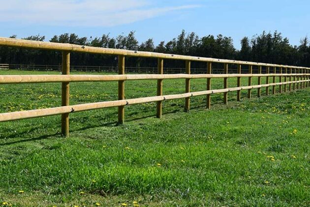 clôture en bois pour chevaux de grande taille type étalon