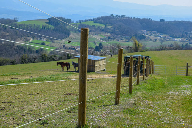 clôture paddock cheval