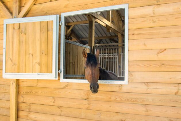 barn sur mesure et fenêtre pour chevaux
