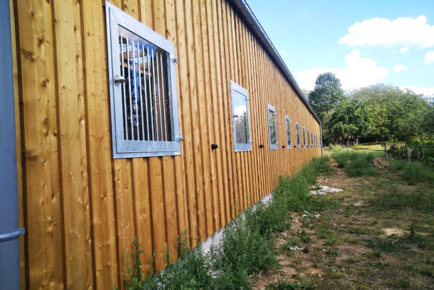 série de fenêtre sur barn bois pour chevaux