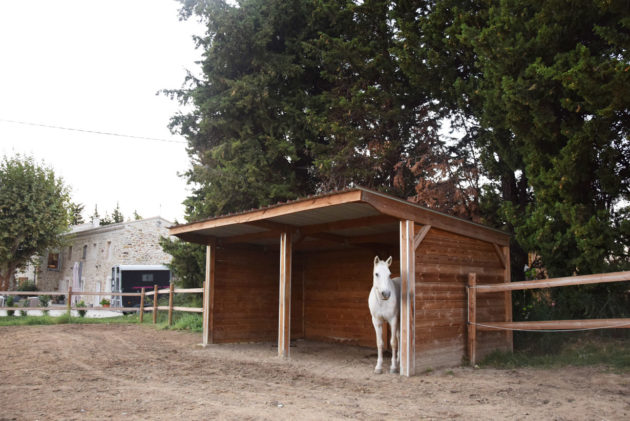 abri confortable bois chevaux