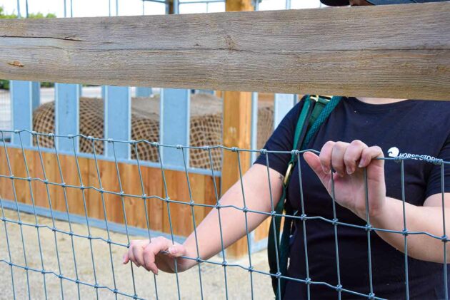 une clôture grillagée dite sérénité pour les enfant et les petits animaux