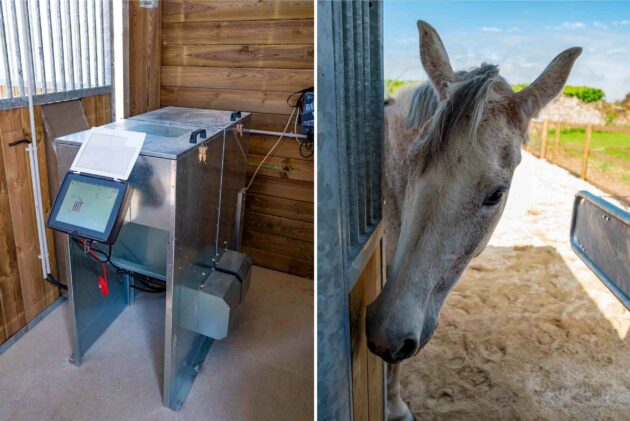 mécanisme du dac : distributeur automatique de concentré et un cheval qui va manger