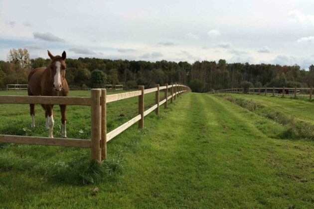 clôture bois élégante pour chevaux