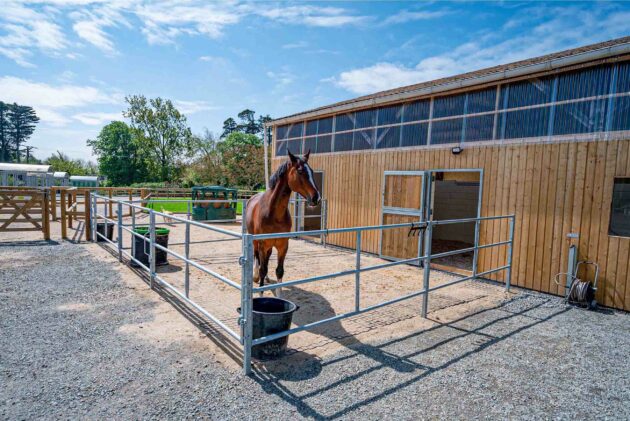 barn avec box aménagé et cheval dans son paddock terrasse sur un sol stabilisé par HORSESTOP