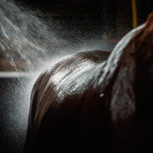 Douche pour chevaux
