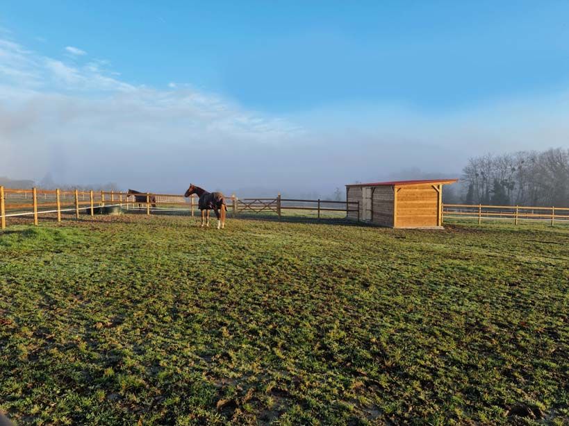 cheval des un paddock clôturé de clôture bois et agrémenté d'un abri horse stop