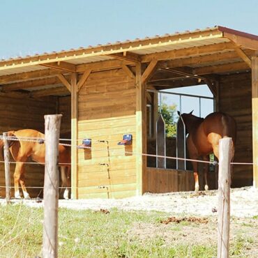 Abri chevaux protection températures extrêmes