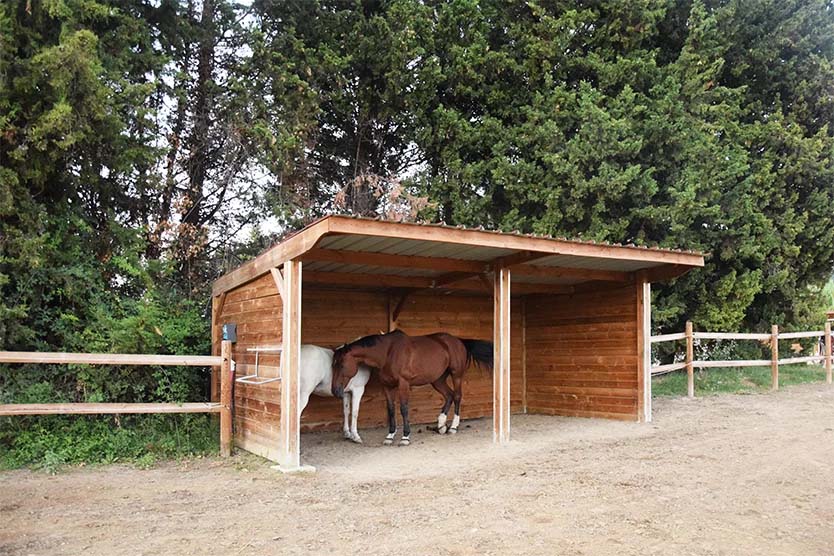 un box ultra confort pour les chevaux