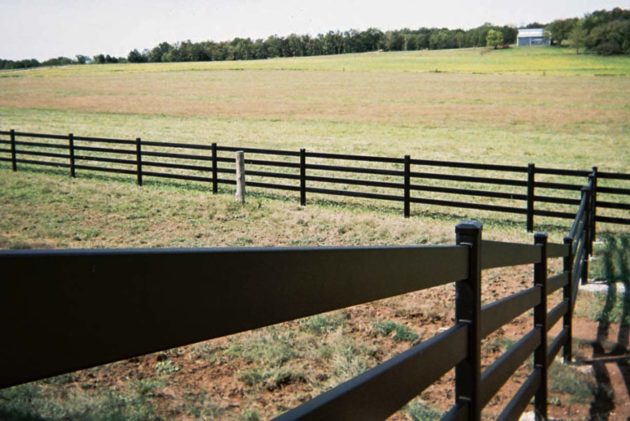 chevaux clôture