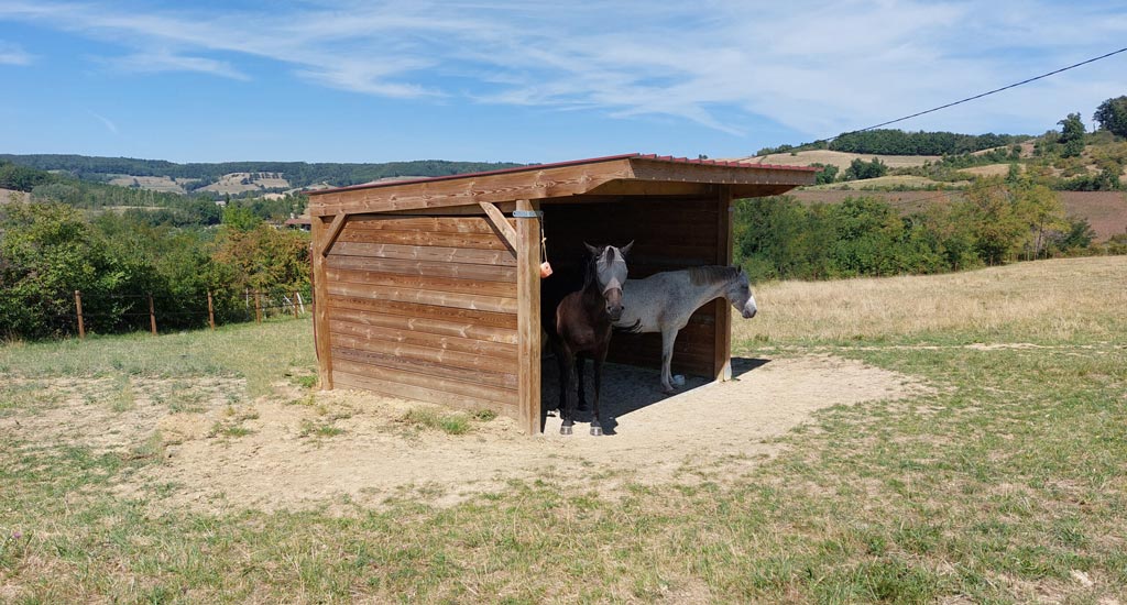 un abri confort bois pour 2 chevaux par horse stop