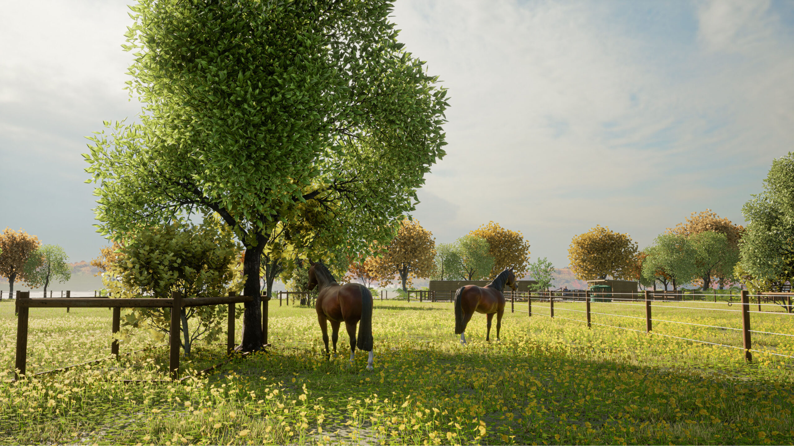 réalisation 3D d'une écurie virtuelle pour chevaux