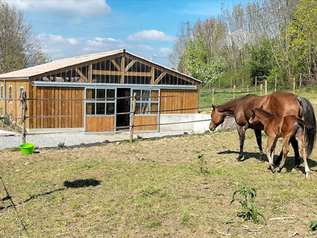 barn bois sur mesure pour une clinique vétérinaire pour chevaux