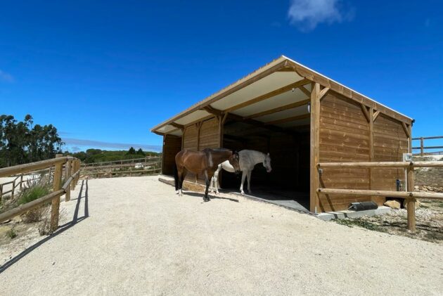 dortoir et sol stabilisé pour chevaux en écurie active