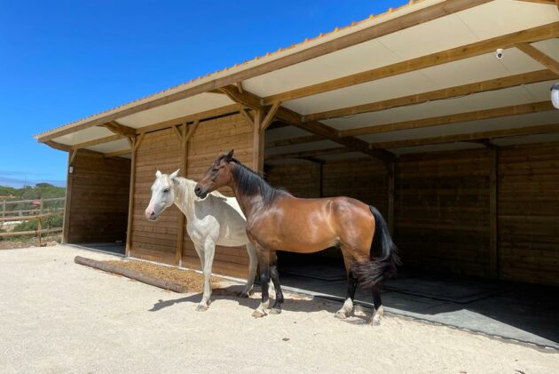 dortoir et parcours stabilisés pour chevaux en écurie active