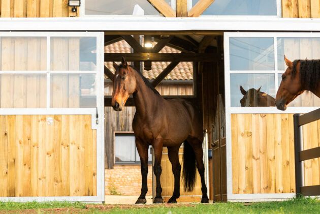 barn sur mesure en porte d'écrie pour chevaux