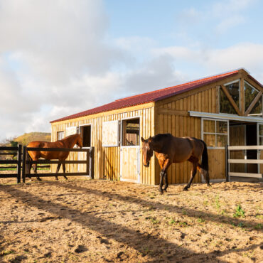barn sur mesure pour chevaux