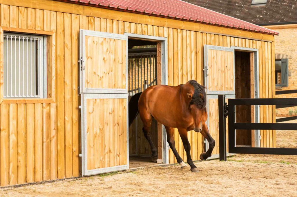 paddock terrasse avec sol stabilisé et porte de box double ouverture pour une écurie privée de 2 chevaux par horse stop