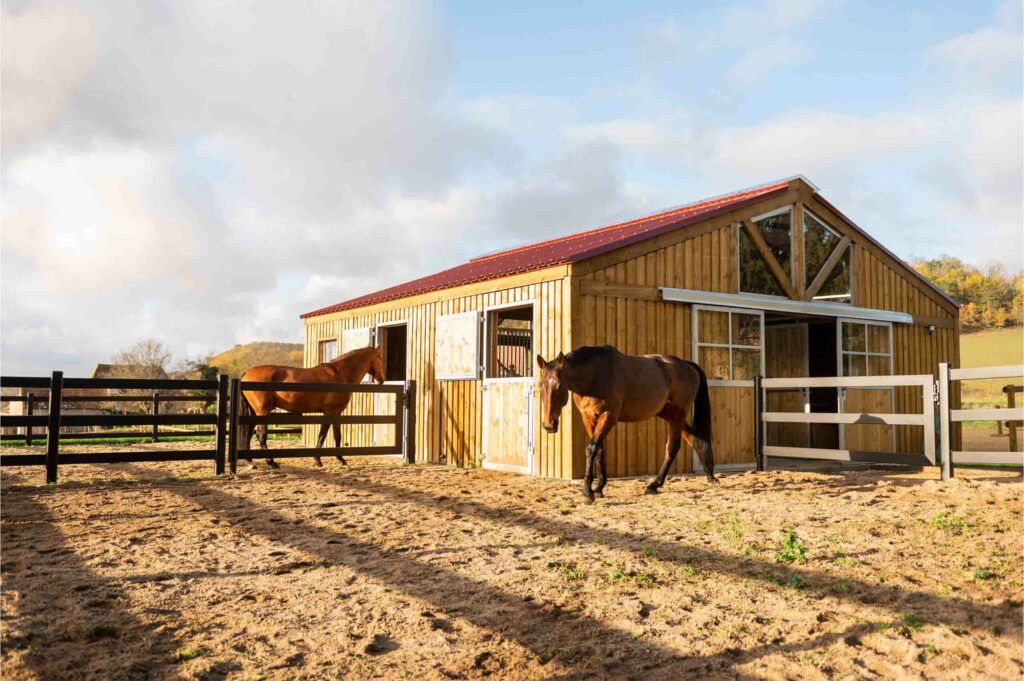 barn sur mesure avec porte d'écurie et clôture paddock terrasse pour une écurie privée de 2 chevaux par horse stop