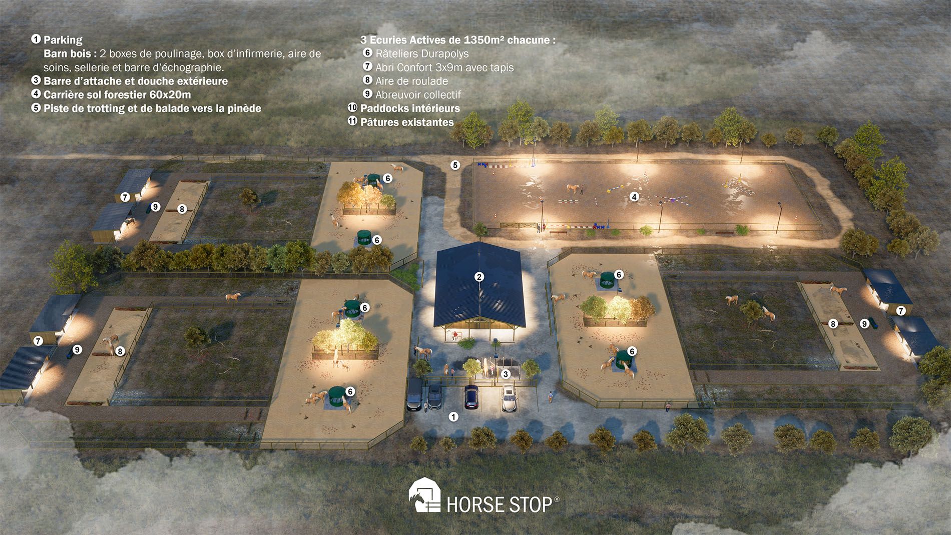 vue aérienne réalisation 3d d'une écurie entre fonctionnalité et bien-être équin pour chevaux haflingers