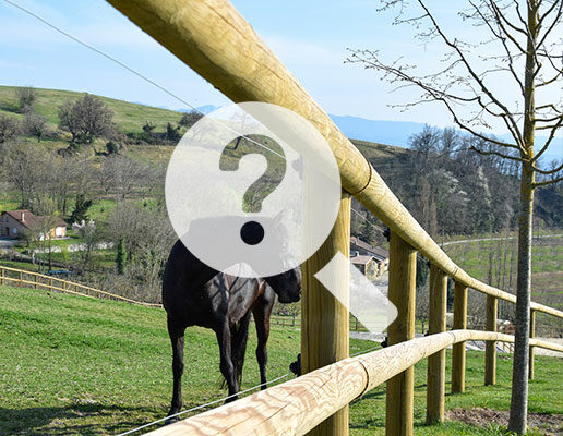 FAQ clôture chevaux