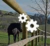 configurer un projet de clôture pour chevaux