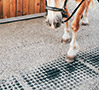 dalles de stabilisation pour écurie chevaux