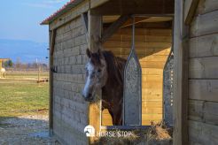 abris chevaux libre service pour fourrage grâce aux stabulations libre service horse stop