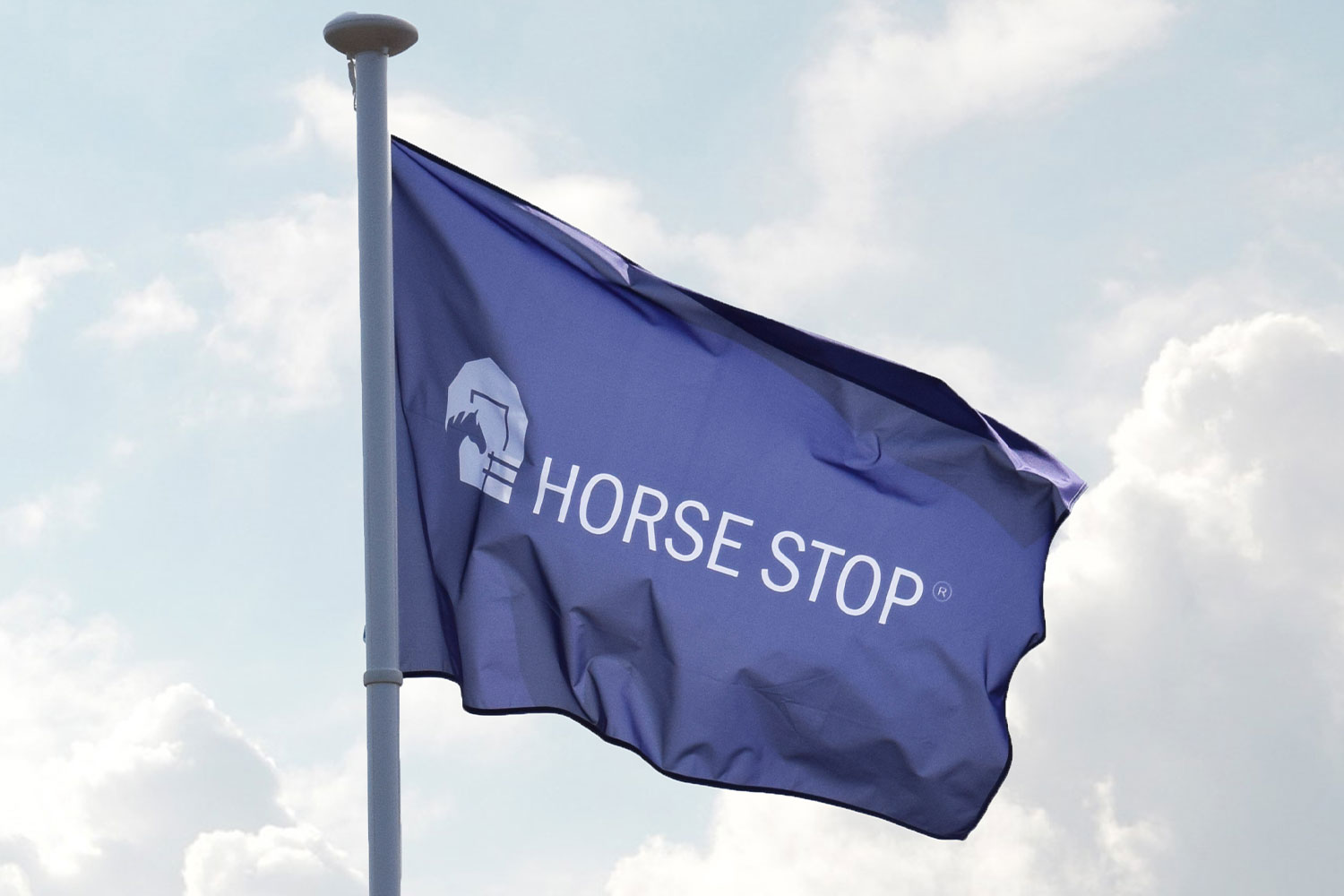 drapeau horse stop leader en infrastructure équestre
