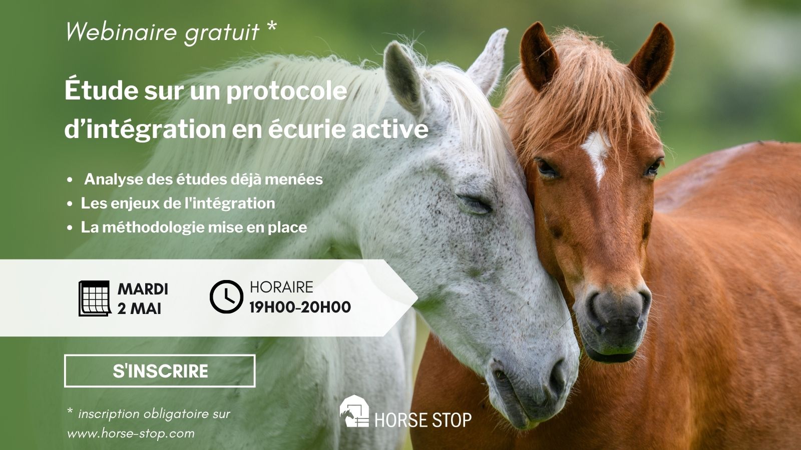 Intégration des chevaux en écurie active programme webinaire