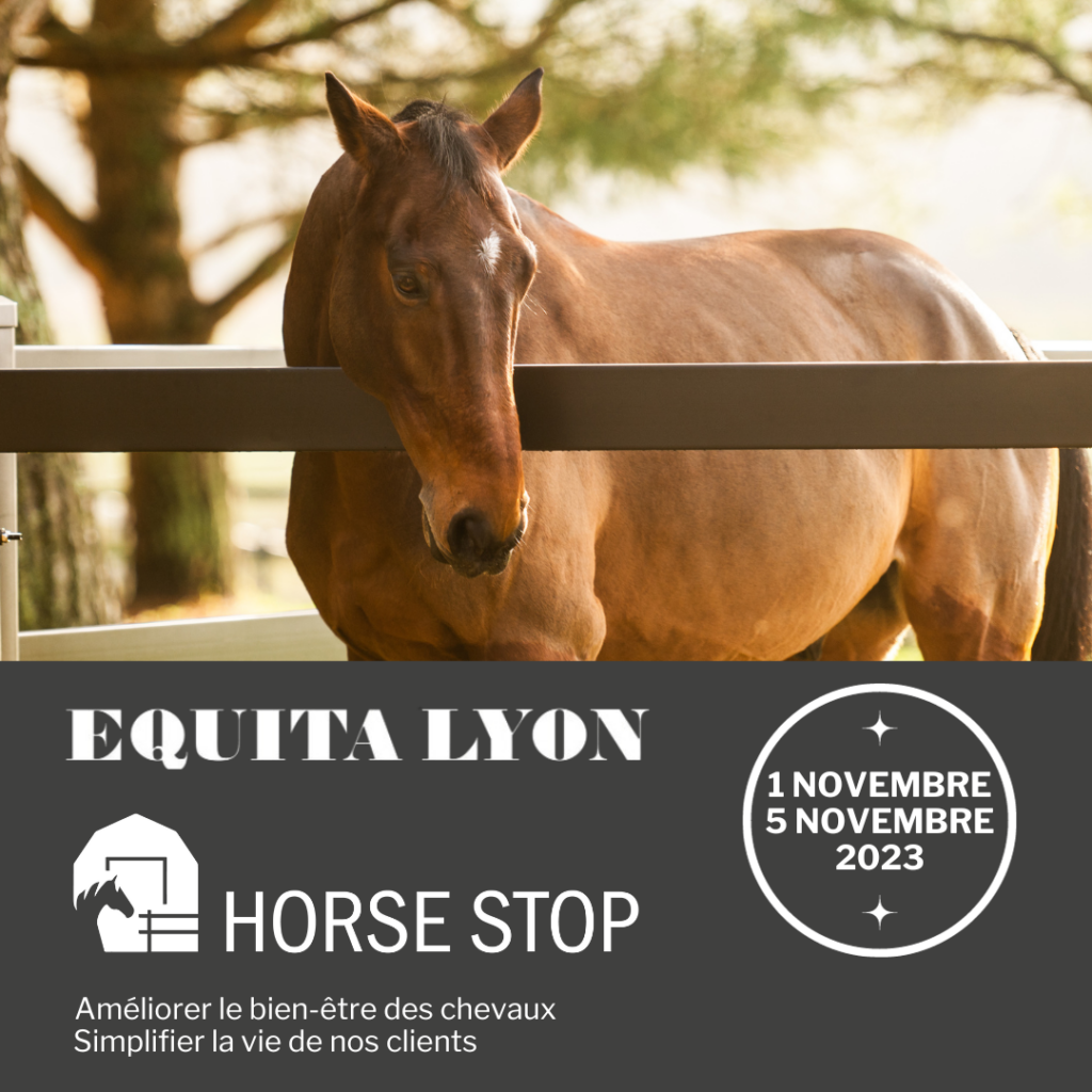 horse stop équita