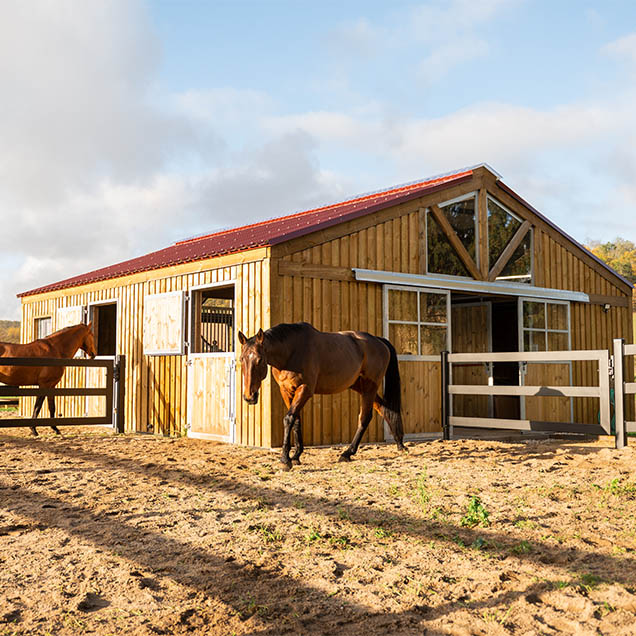barn pour chevaux